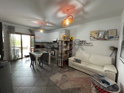 immagine annuncio 5 di 9