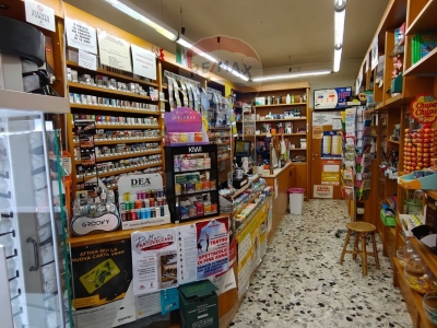 immagine annuncio 3 di 6
