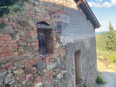 immagine annuncio 3 di 7