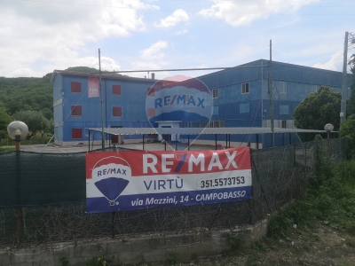 immagine annuncio 7 di 9