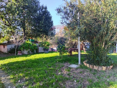 immagine annuncio 5 di 9