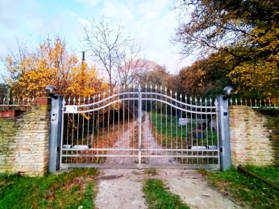 immagine annuncio 6 di 9