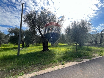 immagine annuncio 4 di 9