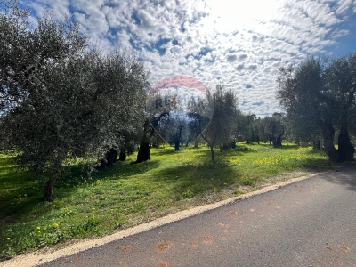 immagine annuncio 7 di 9
