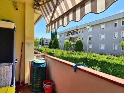 immagine annuncio 3 di 9