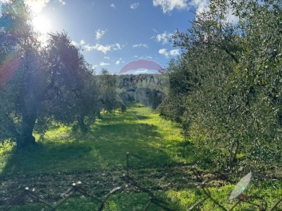 immagine annuncio 7 di 9