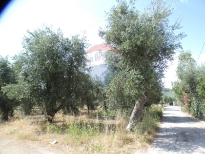 immagine annuncio 5 di 9