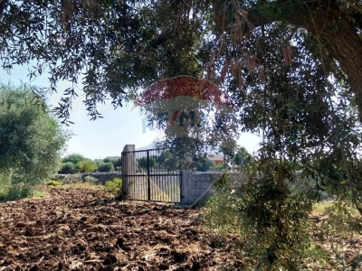 immagine annuncio 6 di 9