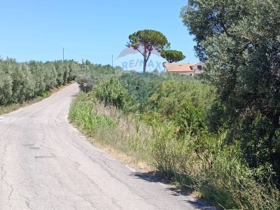 immagine annuncio 4 di 8