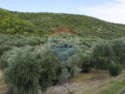immagine annuncio 4 di 9