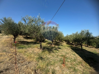 immagine annuncio 4 di 8