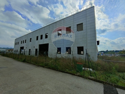 immagine annuncio 2 di 9
