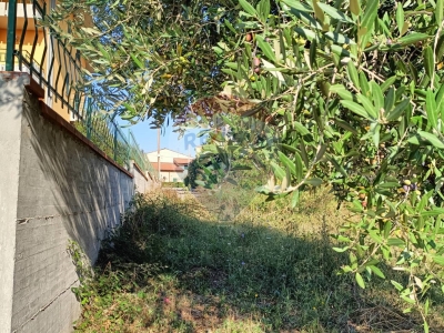 immagine annuncio 6 di 9