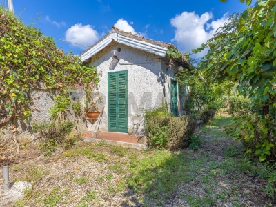 immagine annuncio 5 di 9