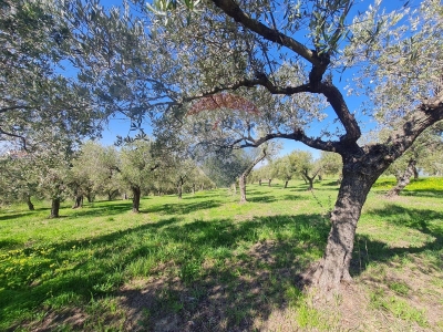 immagine annuncio 6 di 9