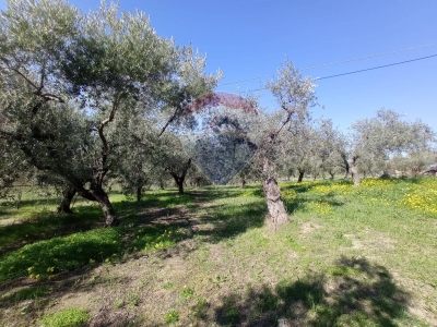 immagine annuncio 8 di 9