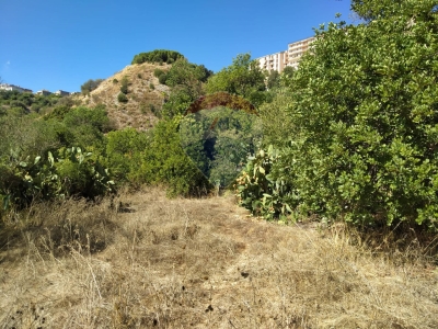 immagine annuncio 4 di 9