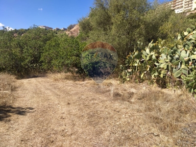 immagine annuncio 7 di 9