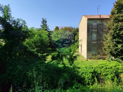 immagine annuncio 5 di 9