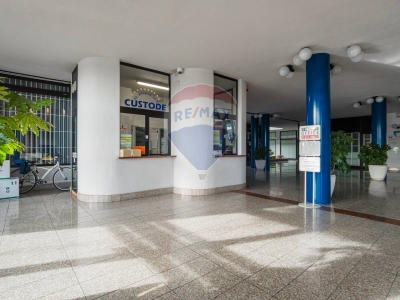 immagine annuncio 2 di 9