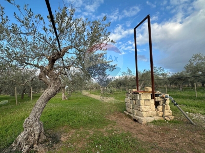 immagine annuncio 1 di 9