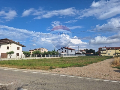 immagine annuncio 3 di 6