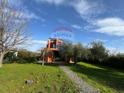 immagine annuncio 2 di 9