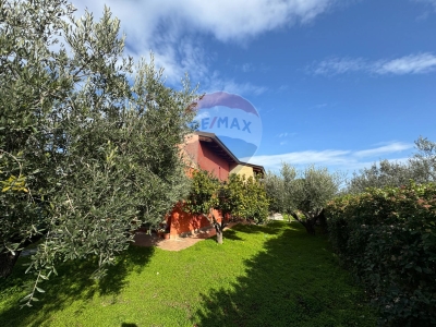 immagine annuncio 3 di 9