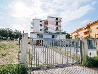 immagine annuncio 3 di 6