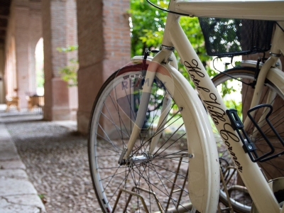 immagine annuncio 6 di 9
