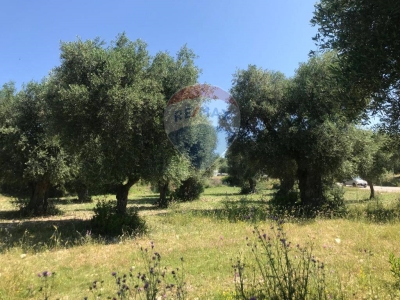 immagine annuncio 5 di 9