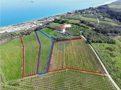 immagine annuncio 1 di 9