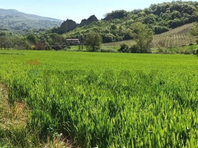 immagine annuncio 5 di 9