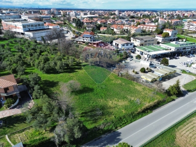 immagine annuncio 4 di 6