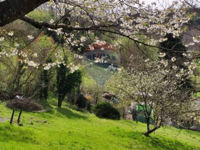immagine annuncio 1 di 9
