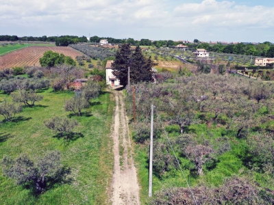 immagine annuncio 3 di 9