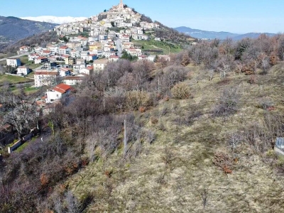 immagine annuncio 1 di 9