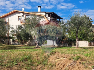 immagine annuncio 2 di 6