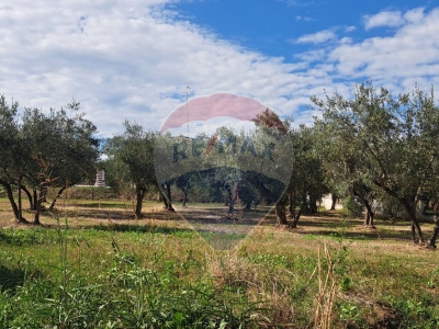 immagine annuncio 3 di 6