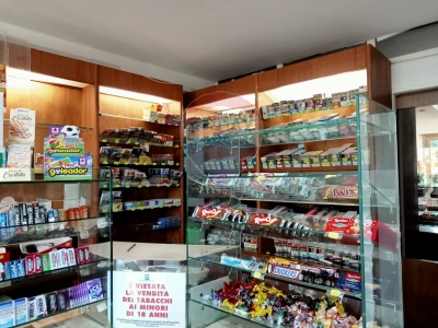 immagine annuncio 2 di 6