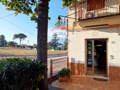 immagine annuncio 5 di 6