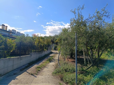 immagine annuncio 5 di 9