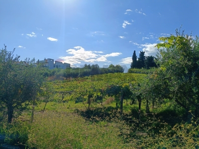 immagine annuncio 7 di 9