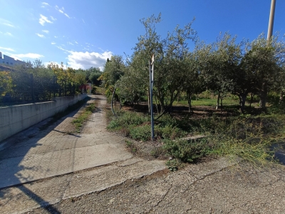 immagine annuncio 8 di 9