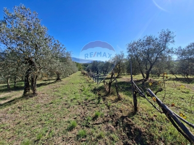 immagine annuncio 2 di 9