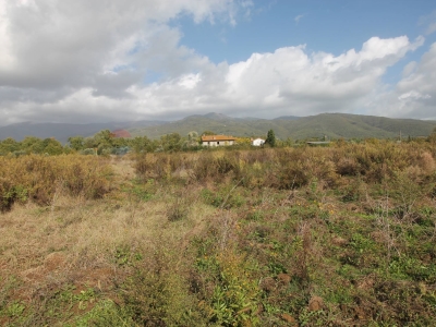 immagine annuncio 3 di 9