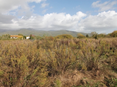 immagine annuncio 5 di 9