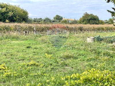 immagine annuncio 6 di 9