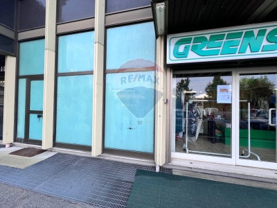 immagine annuncio 1 di 9