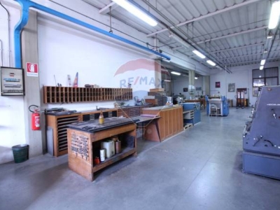 immagine annuncio 6 di 9